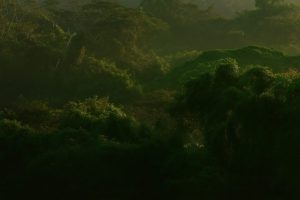 O papel das comunidades de fé na resistência socioambiental na América Latina