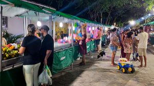 Feira Agroecológica em Capim Grosso (BA)